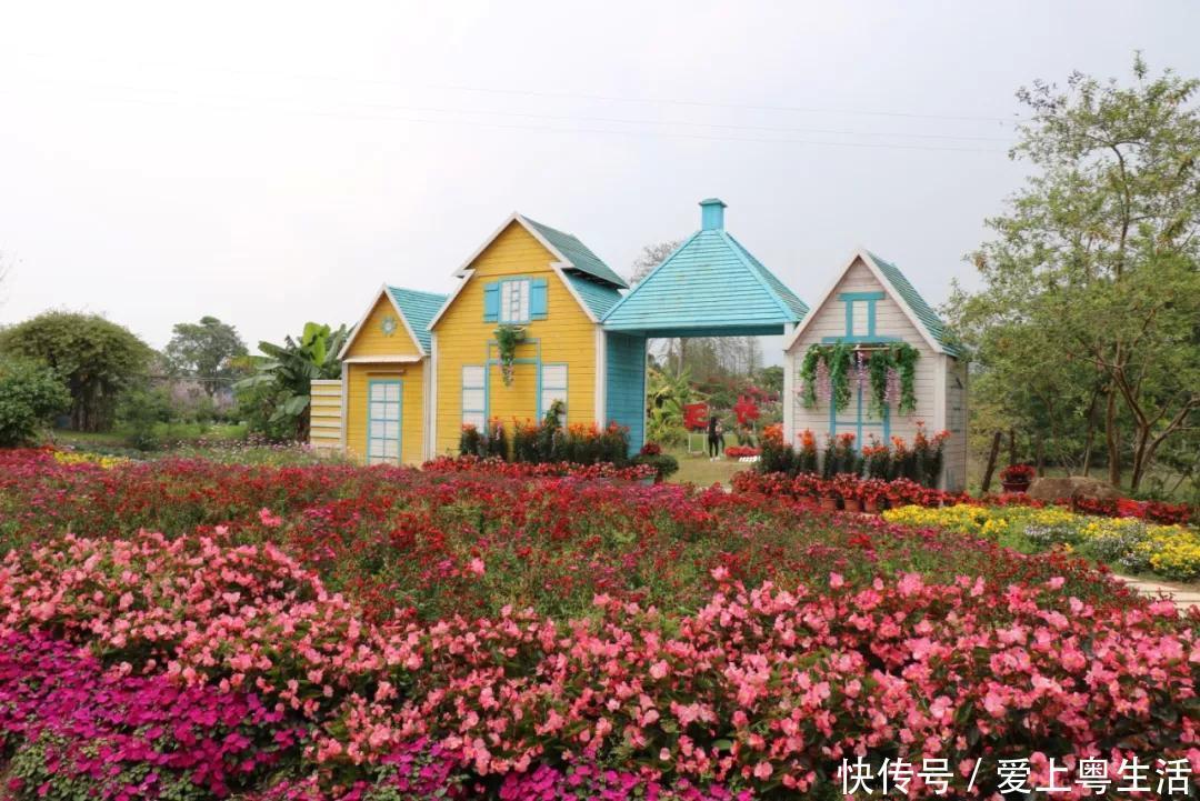 广州地铁14号线有望年底开通啦!1小时到达从化