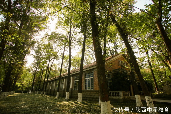 专本套读 --专科在校生最快取得本科学历途径