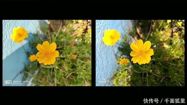 一组拍照对比图!告诉你荣耀10和一加6哪个更有