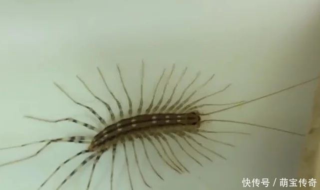 登录查看大图