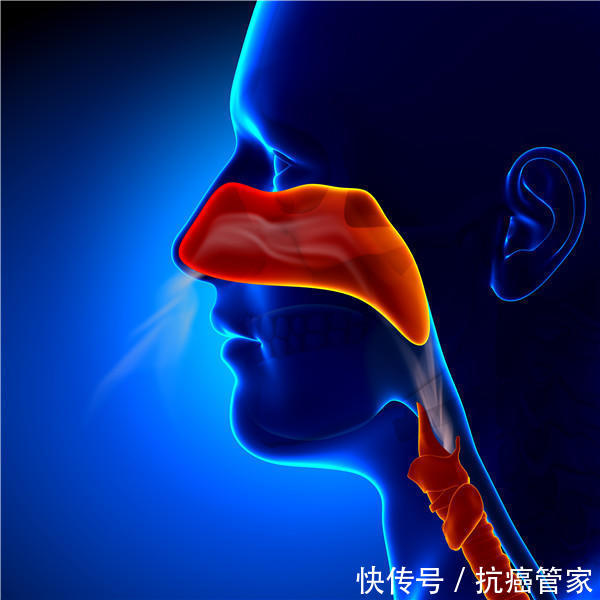 不吸烟也会肺癌?最新肺癌风险预测工具—抗癌管家