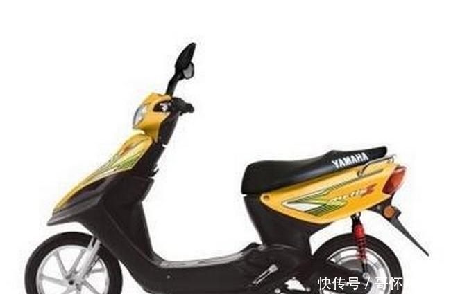 啥子牌子的电瓶车好