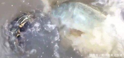 小伙在池塘钓鱼,钓到一只乌龟,接下来的场景让小伙惊讶