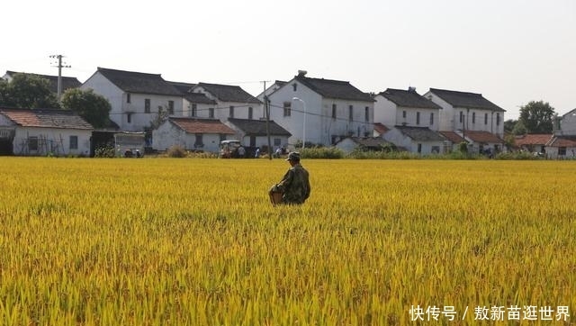 农村集体土地流转