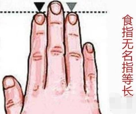 从手指的长度看命运吉凶,食指和无名指哪个长