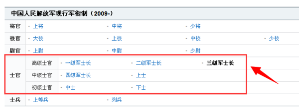 三级军士长是什么级别_360问答