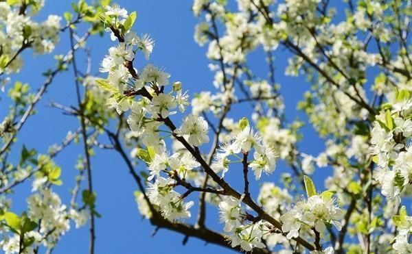 开展形式主义、官僚主义专项整治工作对照检查