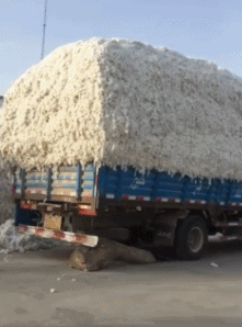 护士辞职信怎么写