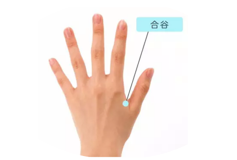 颈肩腰腿酸痛,按压手背反射区,轻松就能缓解