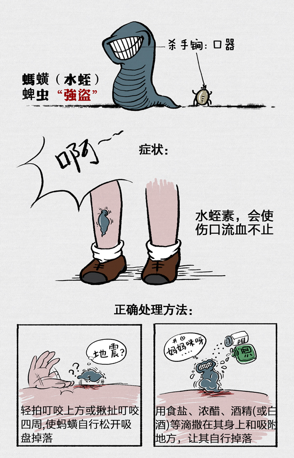 好喵漫画|毒虫来袭!夏季防身术