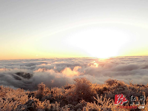 新邵:岳坪峰国家森林公园建设进入快车道