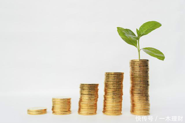 投资理财犹如种下一颗小树苗,钱财的打理就是