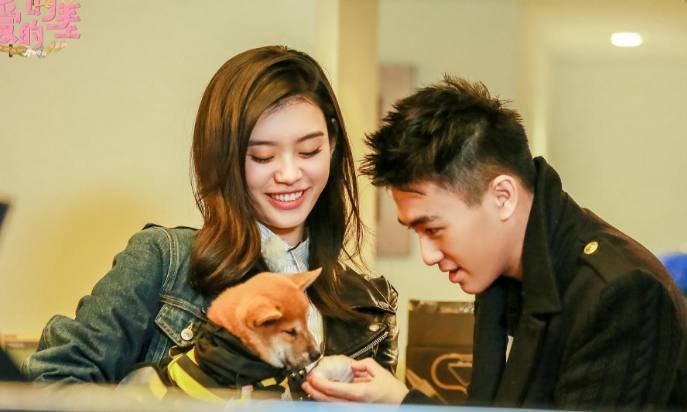 猷君奚梦瑶同框出现,合体现身为王嘉尔应援,网