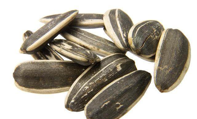 孕妇吃瓜子你不得不知的好处(为老婆收藏)