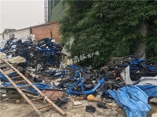 人去楼空,客服失联!这家共享单车的押金,你收回