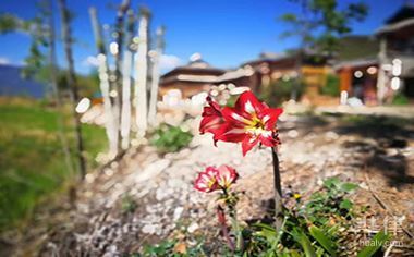 楼房改造加固设计规范要求(如何评估房屋实际价值搬迁临时安置补偿标准) 结构工业装备设计 第4张 楼房改造加固设计规范要求(如何评估房屋实际价值搬迁临时安置补偿标准) 结构工业装备设计 第4张