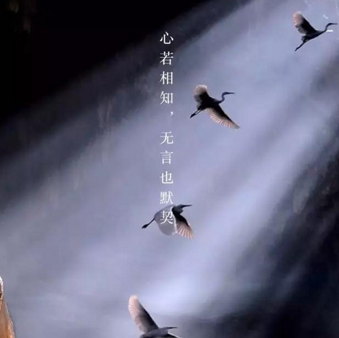 志不同,道不合,不相为谋。