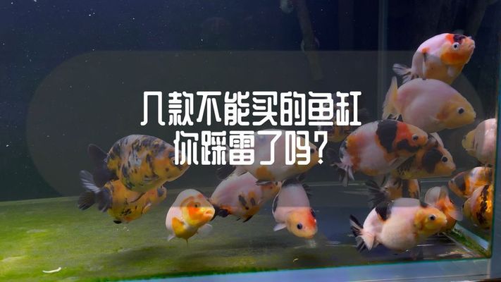 漳州哪里有卖鱼缸的（漳州哪里有卖鱼缸的地方）