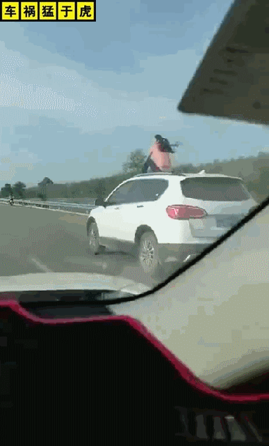 盘点方圆十里寸草不生的奇葩女司机!