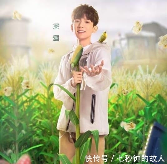 《哈哈农夫》节目组种假甘蔗被拆穿,金瀚贾乃