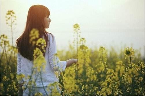 巨化股份:后市展望精准预测,散户必看!