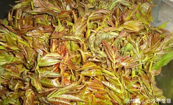 t016edd3afee00f5d9d.jpg