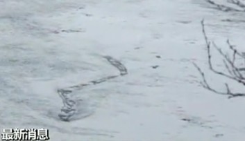 拉加尔河水怪