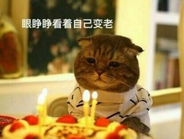 过生日怎样发朋友圈才能显得高逼格\/获赞无数