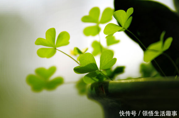 儿十年不归,儿媳改嫁同村人,母从衣柜翻出信纸,才知儿早已离开