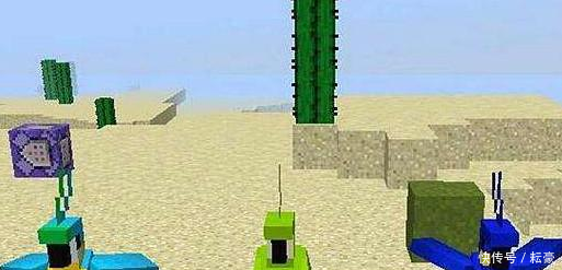 我的世界攻略如何驯服一只鹦鹉鹦鹉有什么用呢