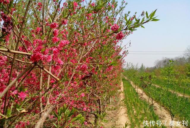 河南“压力大过山”的三座城市