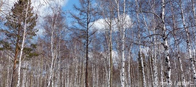 贝加尔湖与中国分离近300年,第一次去这样玩准