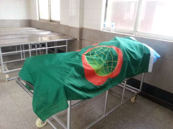 父亲去世后,家狗突然咬住我鞋子就跑,我跟上去后,我顿时傻眼了