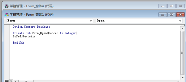 在access2010中如何让一个窗体最大化弹出_3