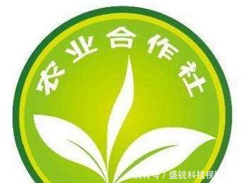 农业合作社成立条件