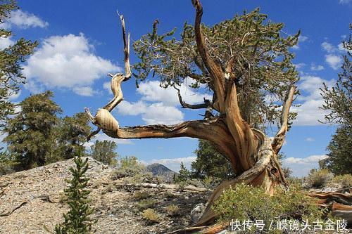 太阳在 7000 年前曾经历一场神秘又异常的宇宙事件！