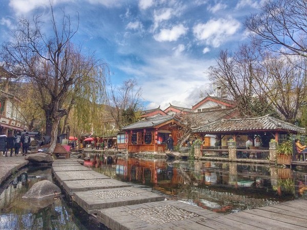 丽江只需要一个黄昏,看海棠花如何从身边飘落