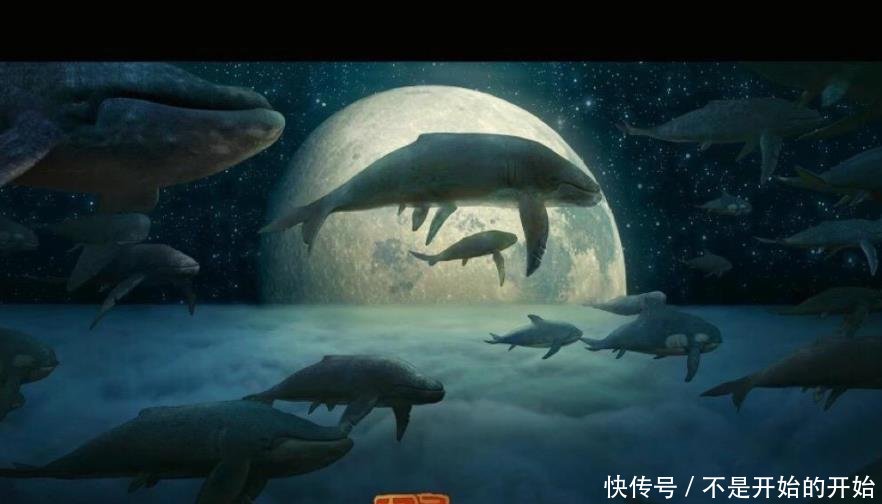 《大鱼海棠2》即将上映,甜美的大结局,令人喜