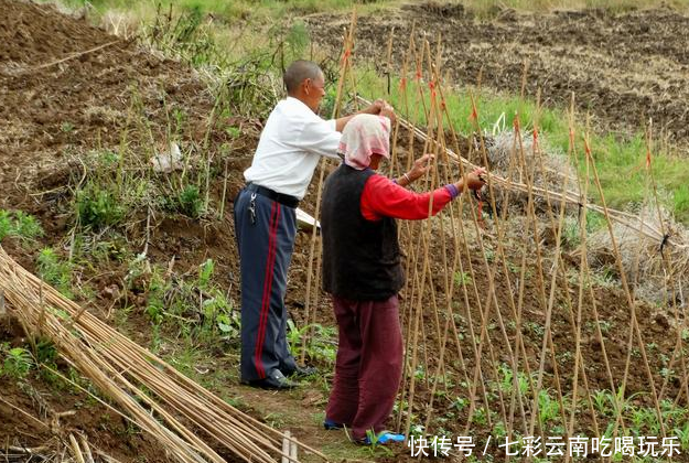 农民自己开荒多出来的地，在土地确权时怎么处理？这几点需要看看