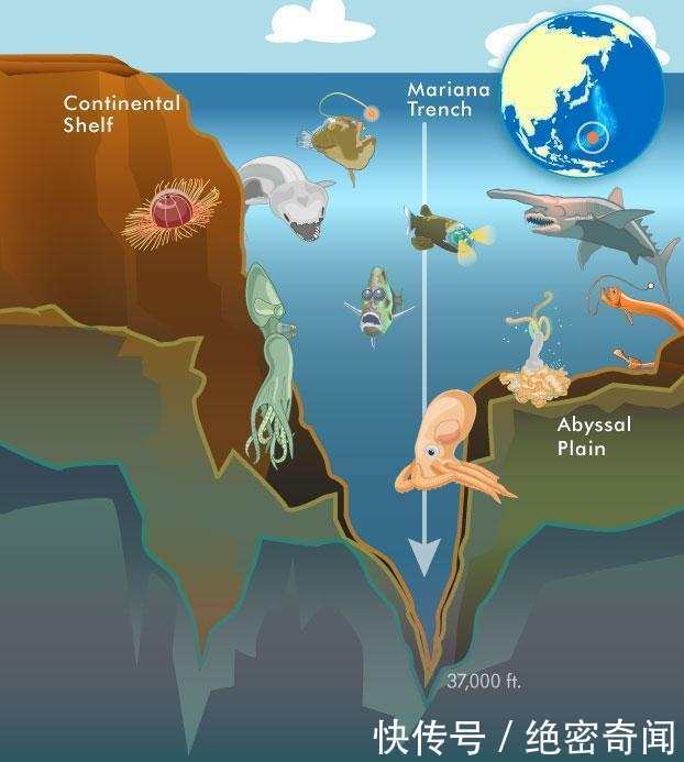 从0米到10000米, 从海平面到地球最深处! 海洋多可怕?