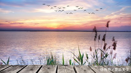 生活简单就迷人,人心简单就幸福(经典句子)