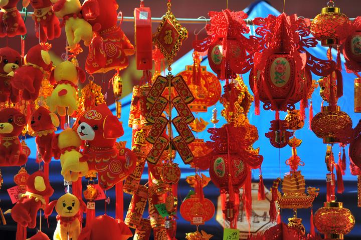 看世界丨普京\"狗狗年历\"庆中国狗年 巴黎\"包拯\"抢镜头