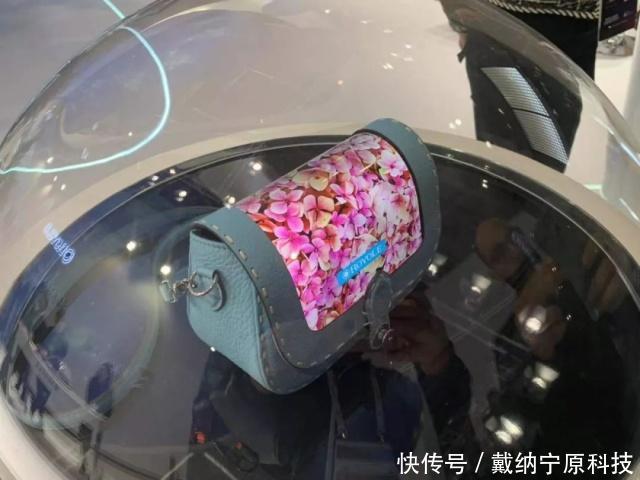 t017e88eb4e37fab24f.jpg?size=640x480