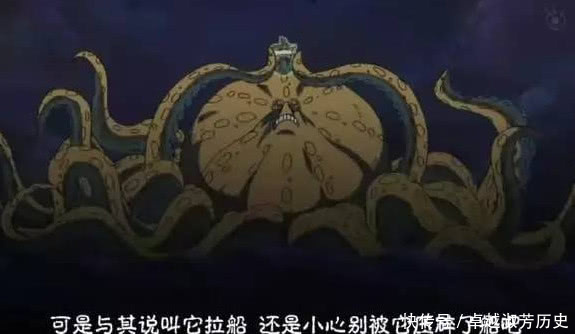 海贼王:不好意思,海王类这种东西,在他们眼里就