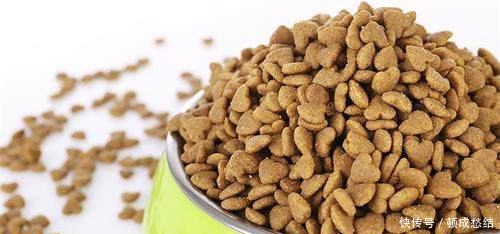 养宠知识泰迪挑食不吃饭怎么办,泰迪狗挑食总