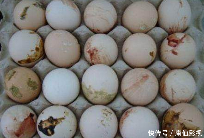 农村女子在市场卖血鸡蛋,专家的话让其了解其
