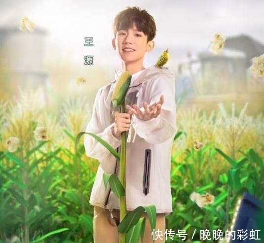 《哈哈农夫》节目组种假甘蔗被拆穿,金瀚贾乃