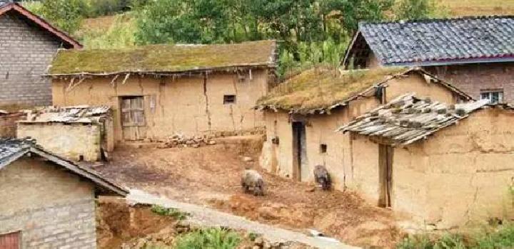 中国最穷地方孩子十年没吃过肉?政府:反映