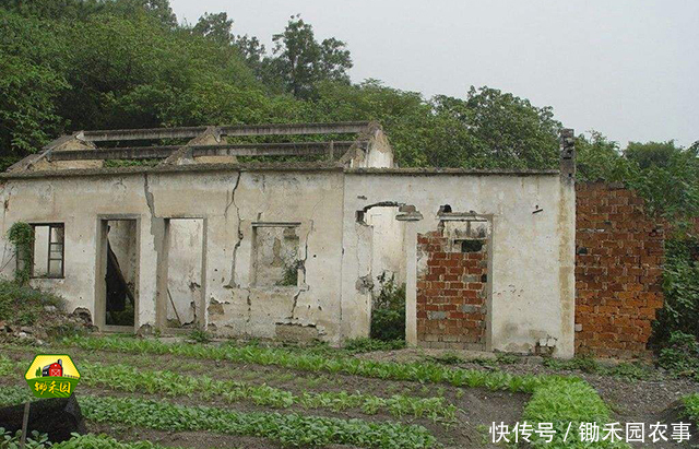 注意了!新农村建设要拆除旧房,这几种类型的房