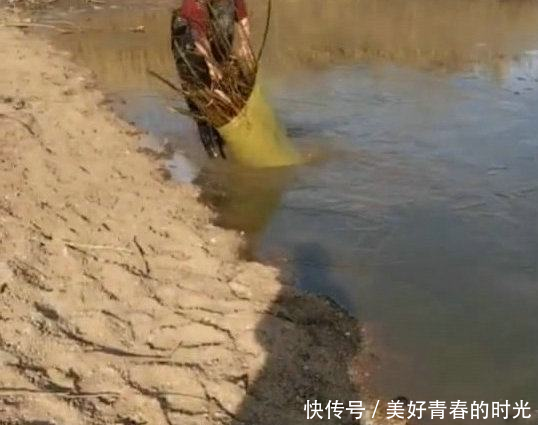 柴禾塞袋子里,丢进沙湖,过夜捞起,十多斤野鱼,这